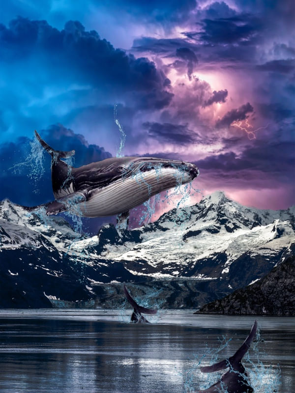 OCEANO SUSPENSO