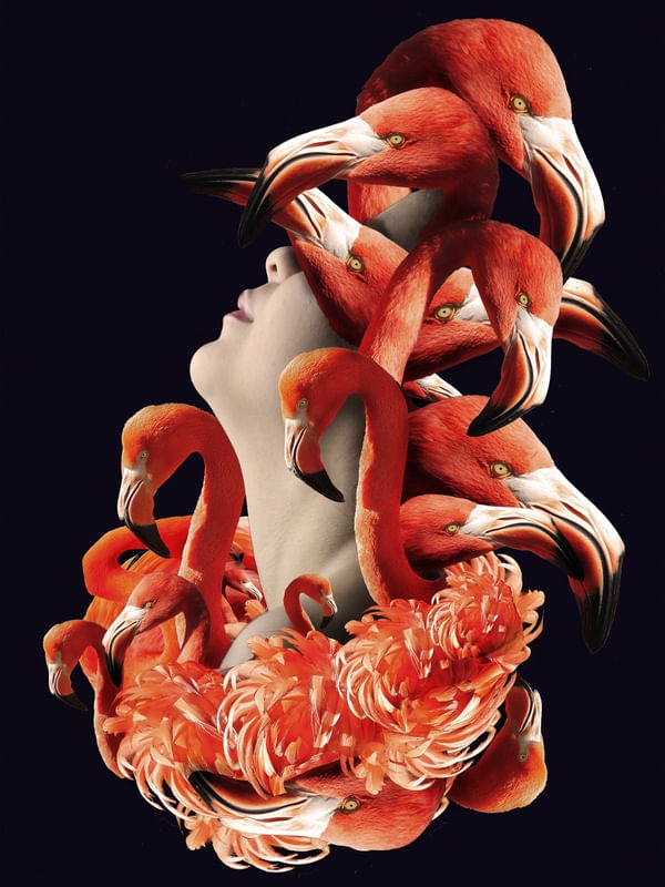 DORMINDO COM FLAMINGOS