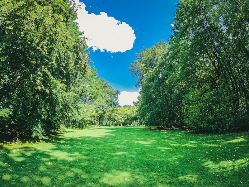 PARQUE EM BERLIM