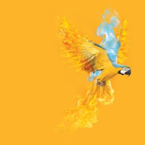 SUMMER ON FIRE