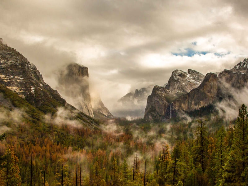 TUNNEL VIEW
