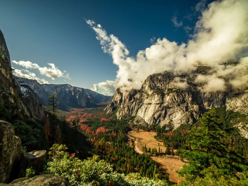 YOSEMITE DE CIMA
