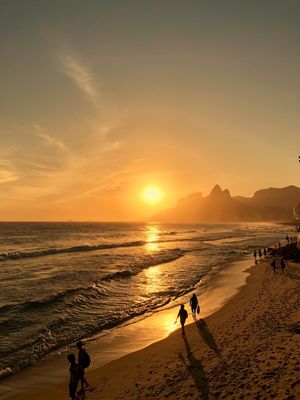 ARPOADOR DOURADO