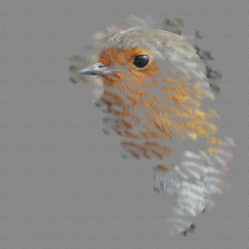 EL PÁJARO 12