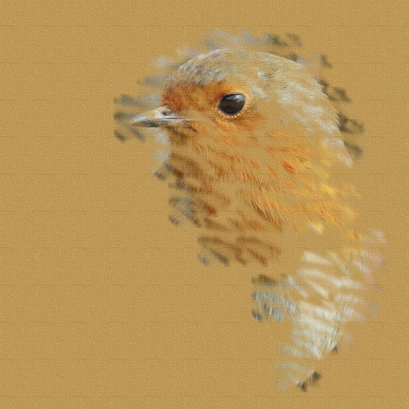EL PÁJARO 13
