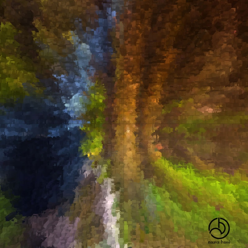 NATUREZ VIVA VIVENDO
