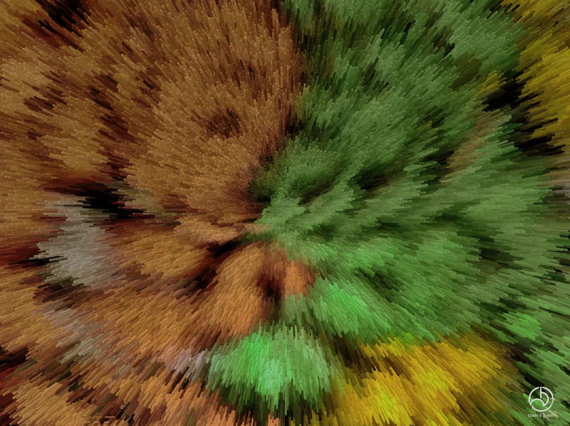 A REVOLTA EXPLOSIVA DA FLORESTA