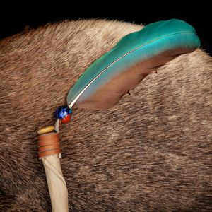 DRUM & FEATHER