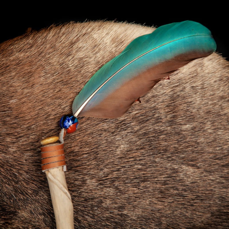 DRUM & FEATHER