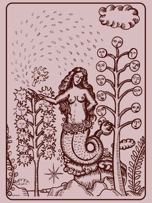 SEREIA (GOLDEN RAIN)
