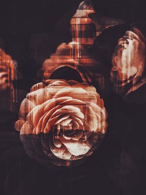 GEOMETRIC SPRING