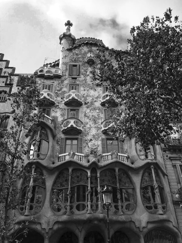 GAUDI P&B