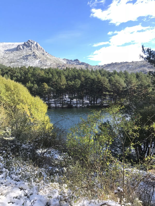 NAVACERRADA