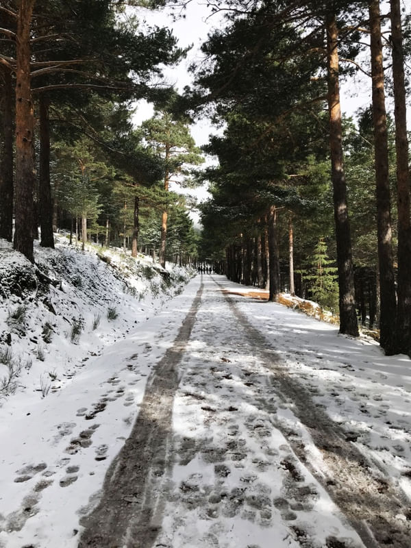 NAVACERRADA II