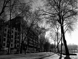 OUTONO BNW