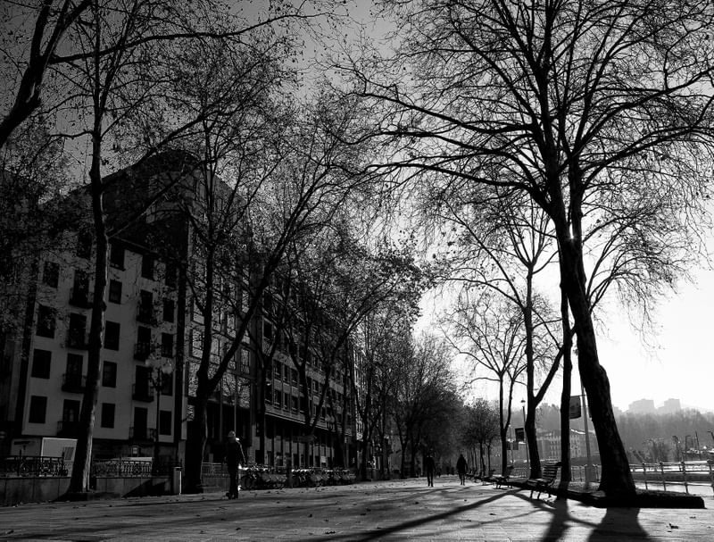 OUTONO BNW
