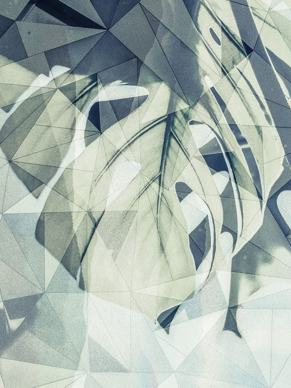 GEOMETRIC SPRING05