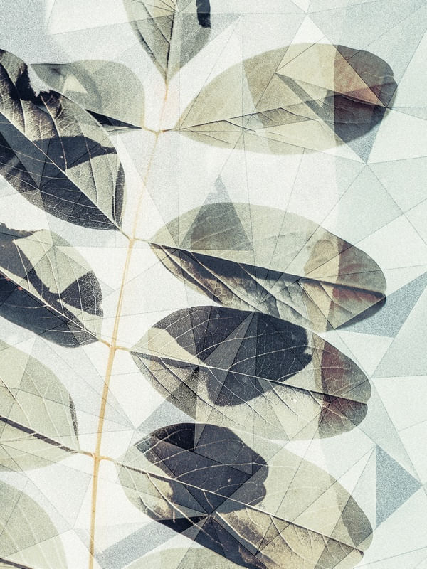 GEOMETRIC SPRING 06