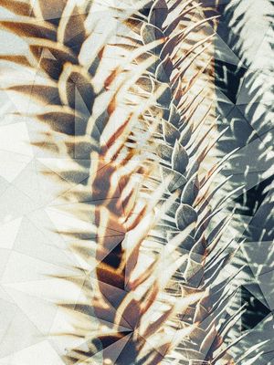 GEOMETRIC SPRING 10