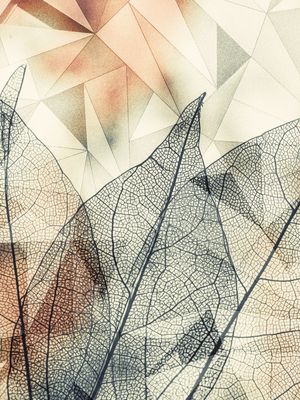 GEOMETRIC SPRING 07