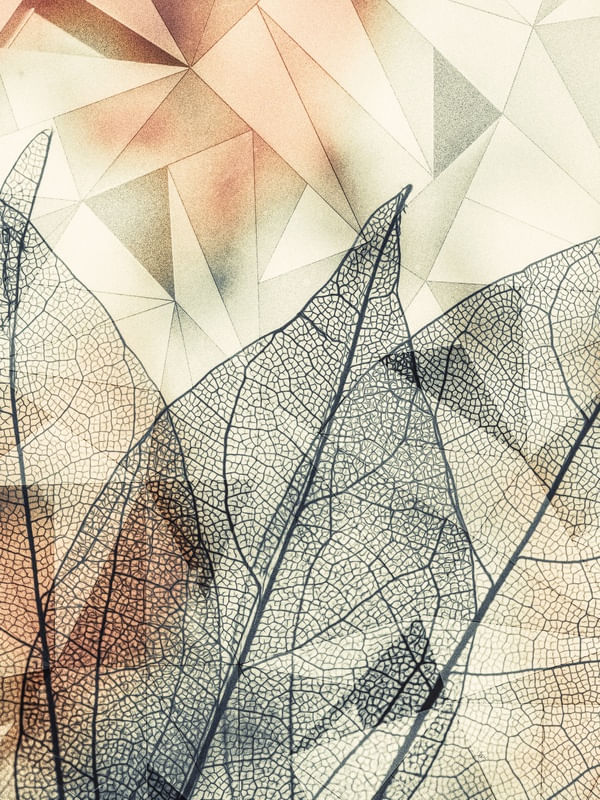 GEOMETRIC SPRING 07