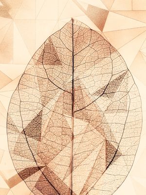 GEOMETRIC SPRING 09