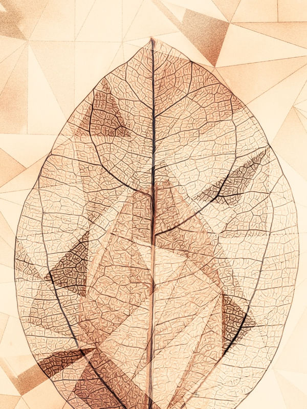 GEOMETRIC SPRING 09
