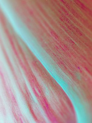 ROSE BLUE HUE
