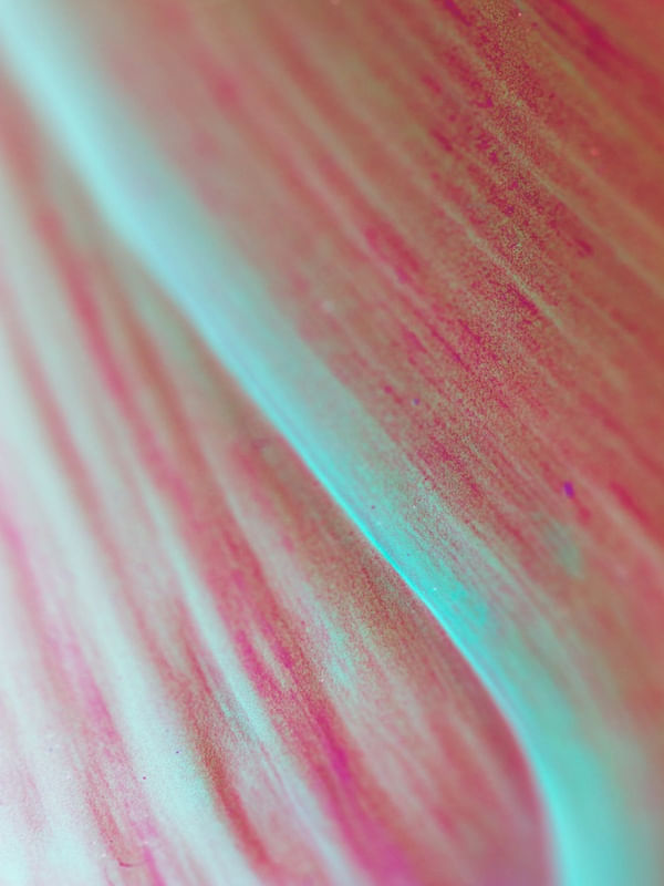 ROSE BLUE HUE