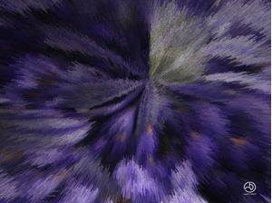 A EXPLOSÃO DAS VIOLETAS