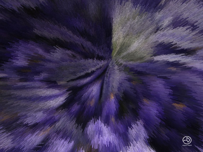 A EXPLOSÃO DAS VIOLETAS