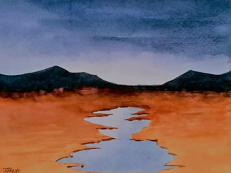 PAISAGEM 2911