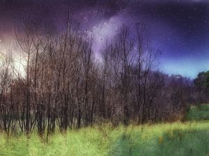 MAGIC FIELDS
