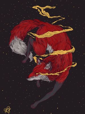 SPACE FOX