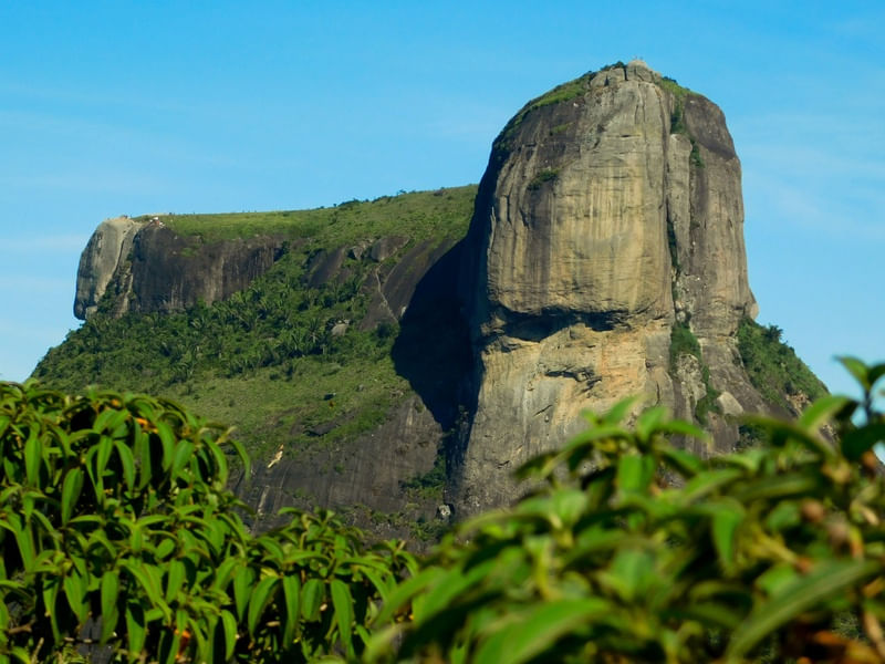 PEDRA DA GÁVEA - RIO DE JANEIRO