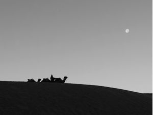 DESCANSO NO DESERTO