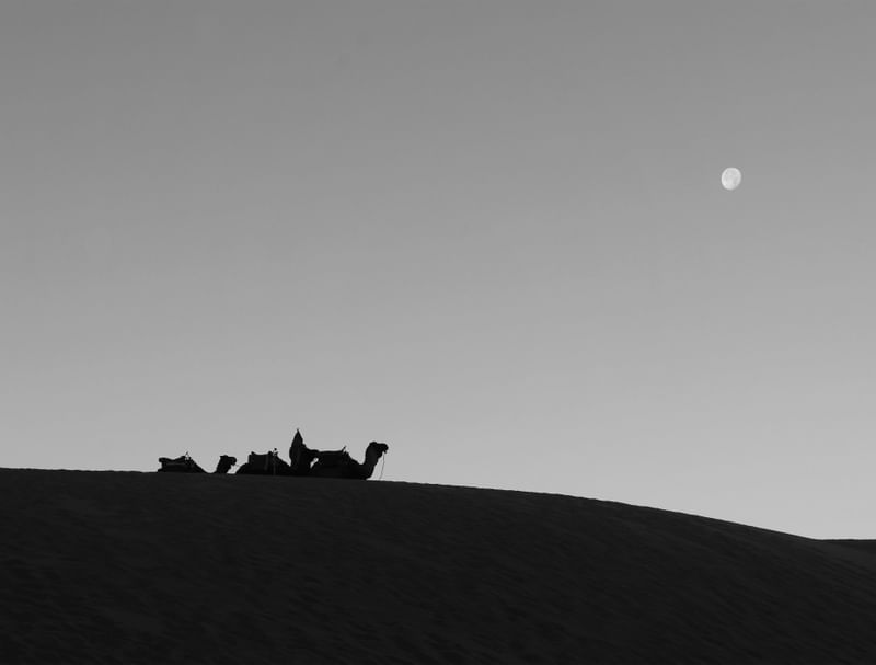 DESCANSO NO DESERTO