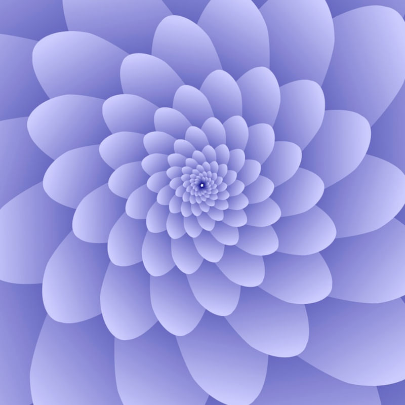 3D MODERN PURPLE FLORAL