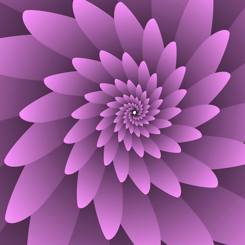 3D FLORAL MODERN