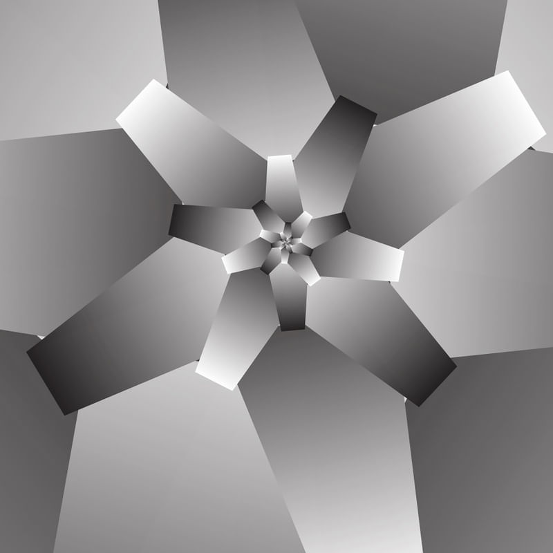 MONOCHROME FLOWER ART