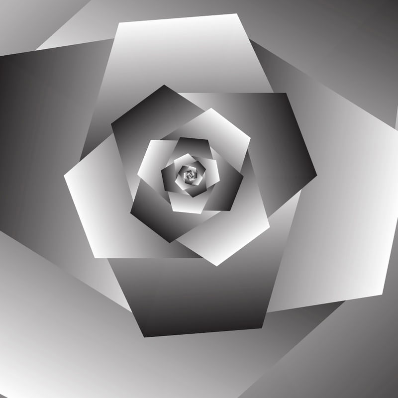 MONOCHROME ROSE SPIRAL ART