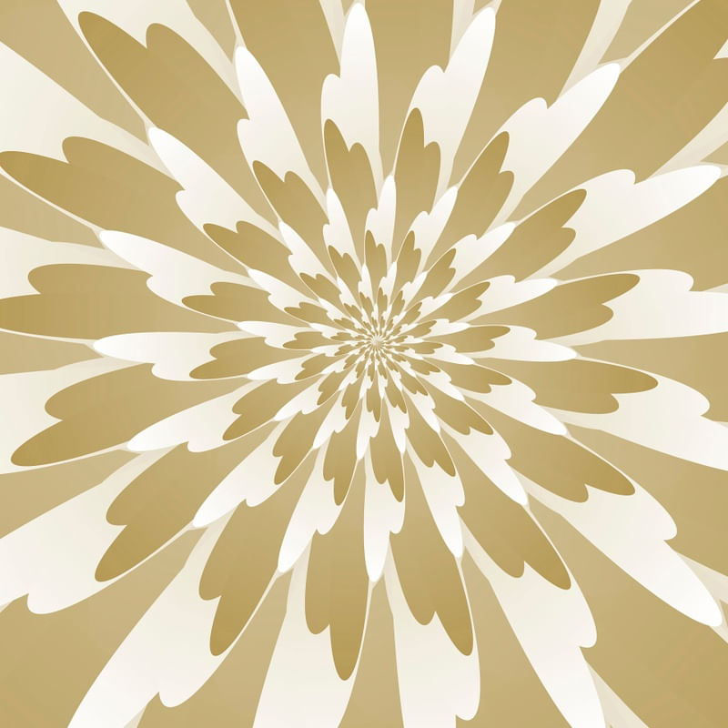 SPIRAL FLORAL