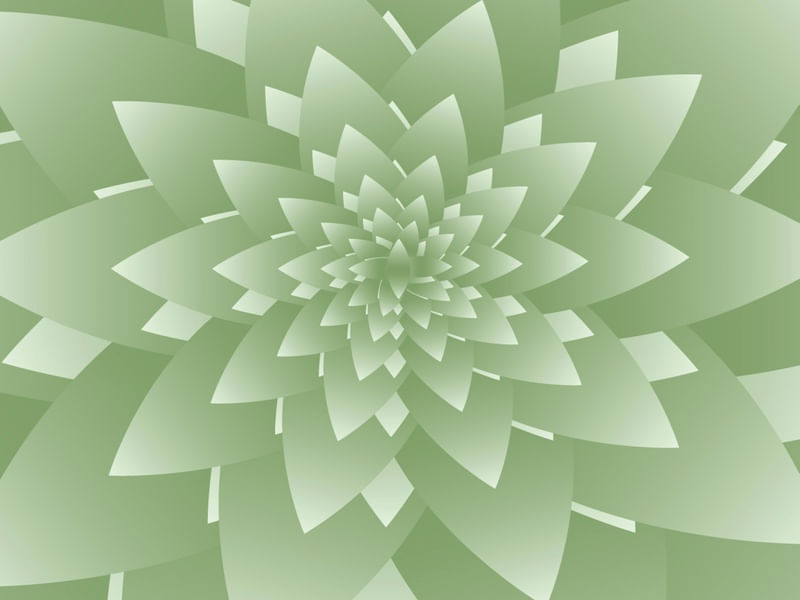 FRACTAL LEAVES