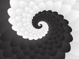 MONO CHROME SPIRAL PATTERN