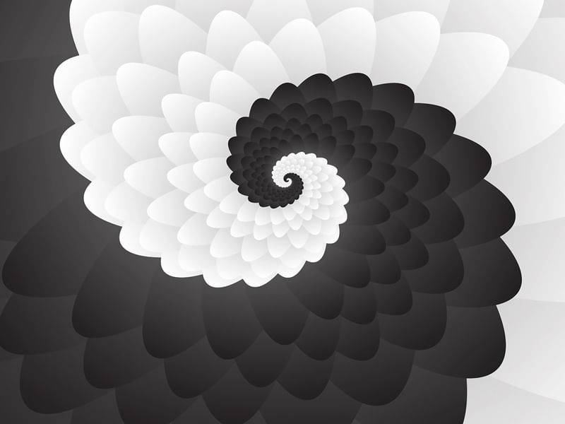 MONO CHROME SPIRAL PATTERN