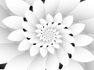 MONOCHROME FLORAL DESIGN ART