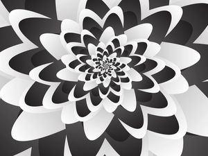 MONO CHROME FLOWER SPIRAL