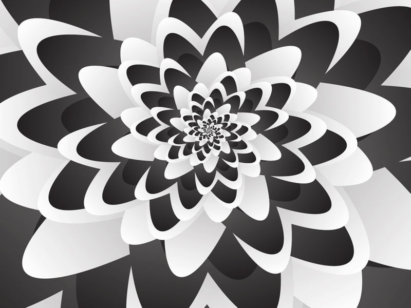 MONO CHROME FLOWER SPIRAL