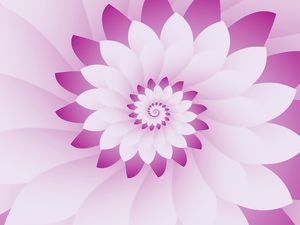 ABSTRACT PINK & WHITE FLORAL
