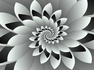 BLACK & WHITE FLORAL